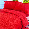 Egyptian Cotton Bedsheet Set With 2 Pillow Covers