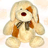 Cream Dog